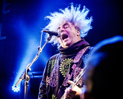 The Melvins