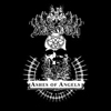 Aosoth · Ashes Of Angels · 2009