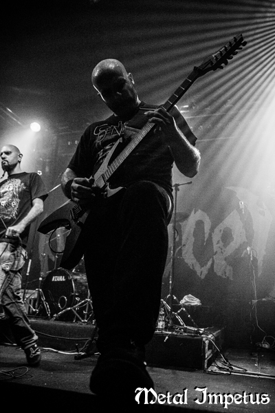 Nervecell