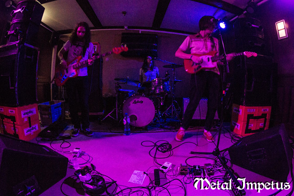 The Shivas