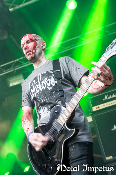Lifelover