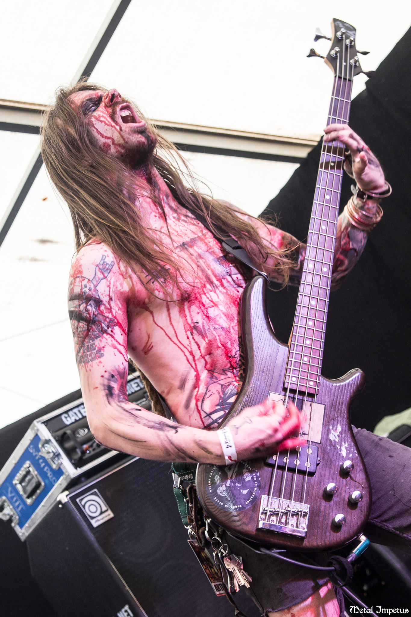 Bloody Vengeance