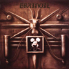 Brainoil