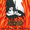 Bewitching The Pomerania